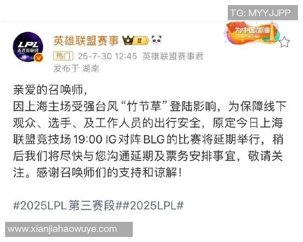 BLG在英雄联盟赛事中的反击策略分析与成败得失探讨