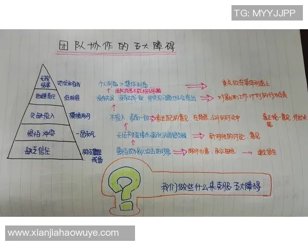 上海排球队的团队协作探秘：如何在赛场上实现默契与胜利